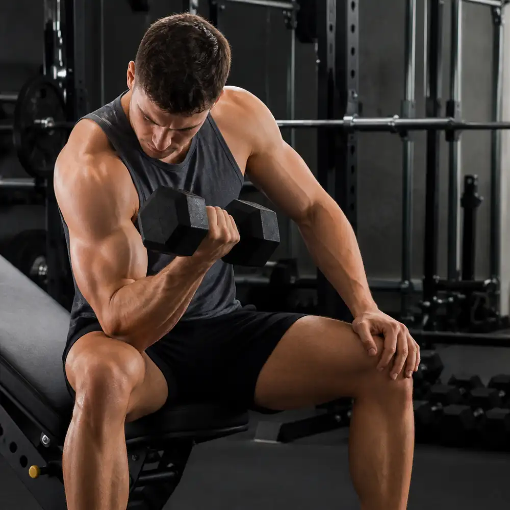 Muscle Builder